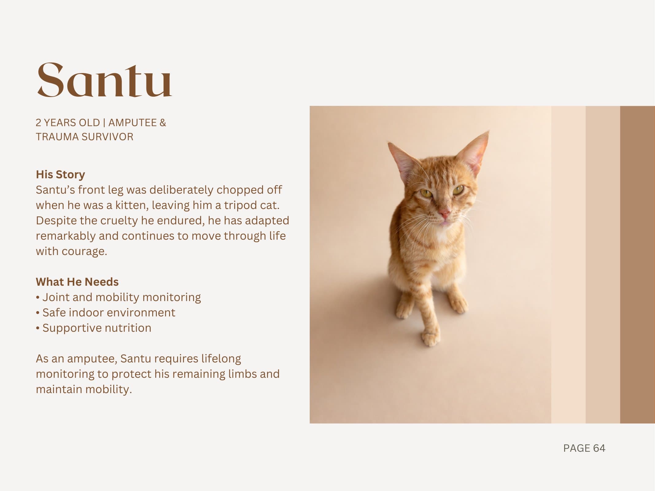 Santu — Amputee & Trauma Survivor