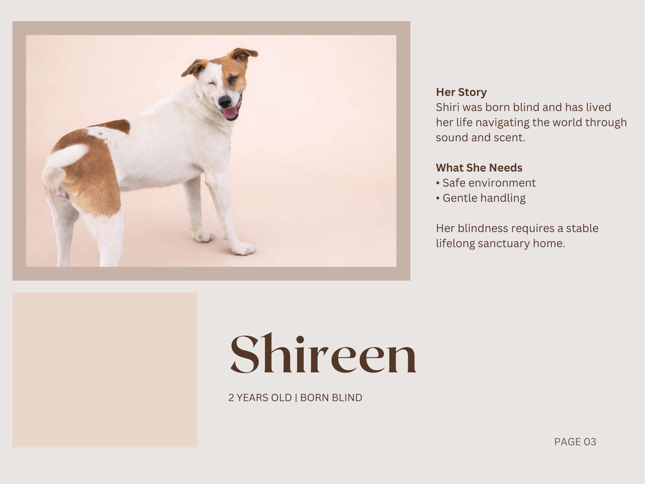 Shireen — Born Blind