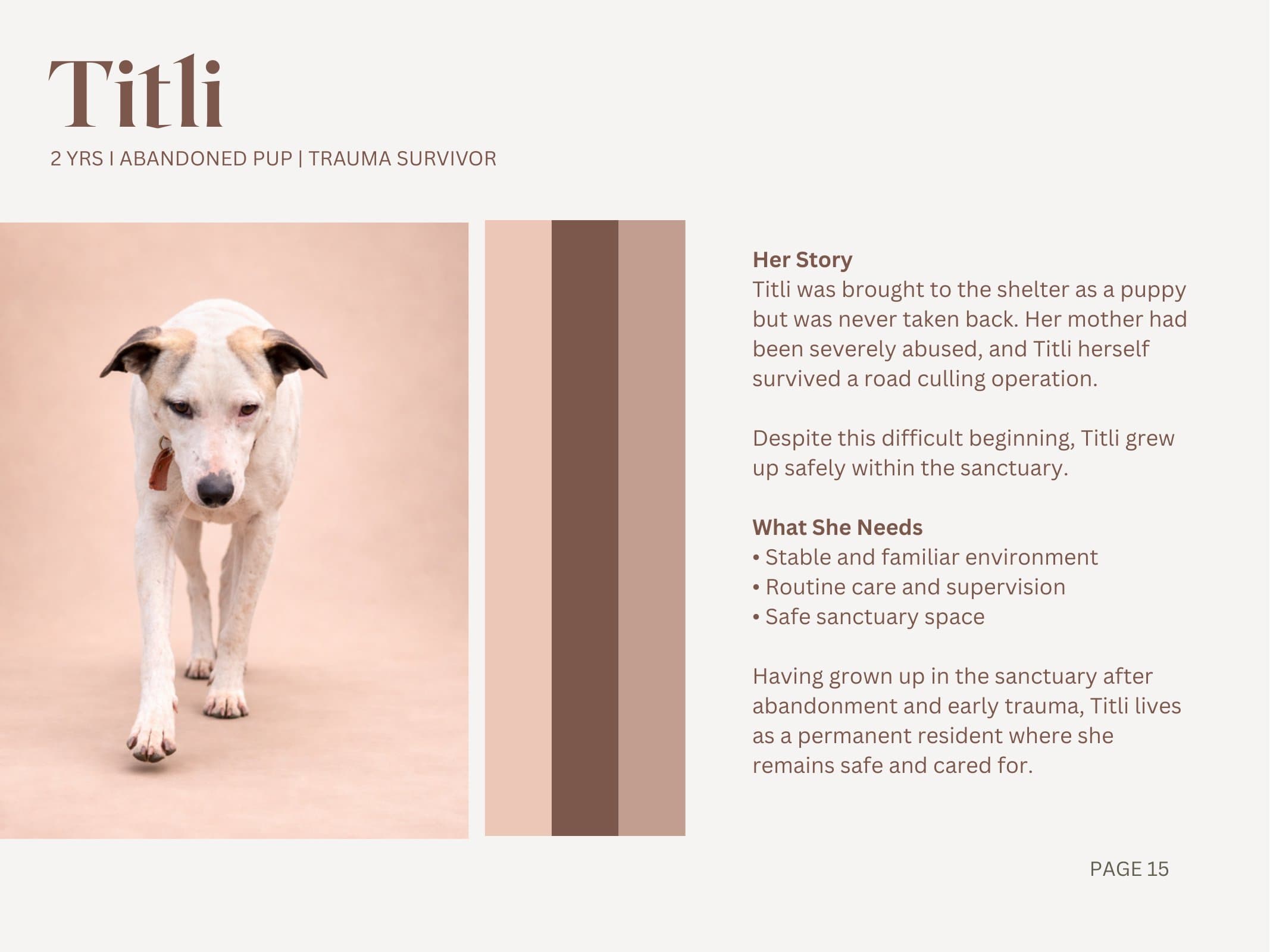 Titli — Abandoned Pup | Trauma Survivor