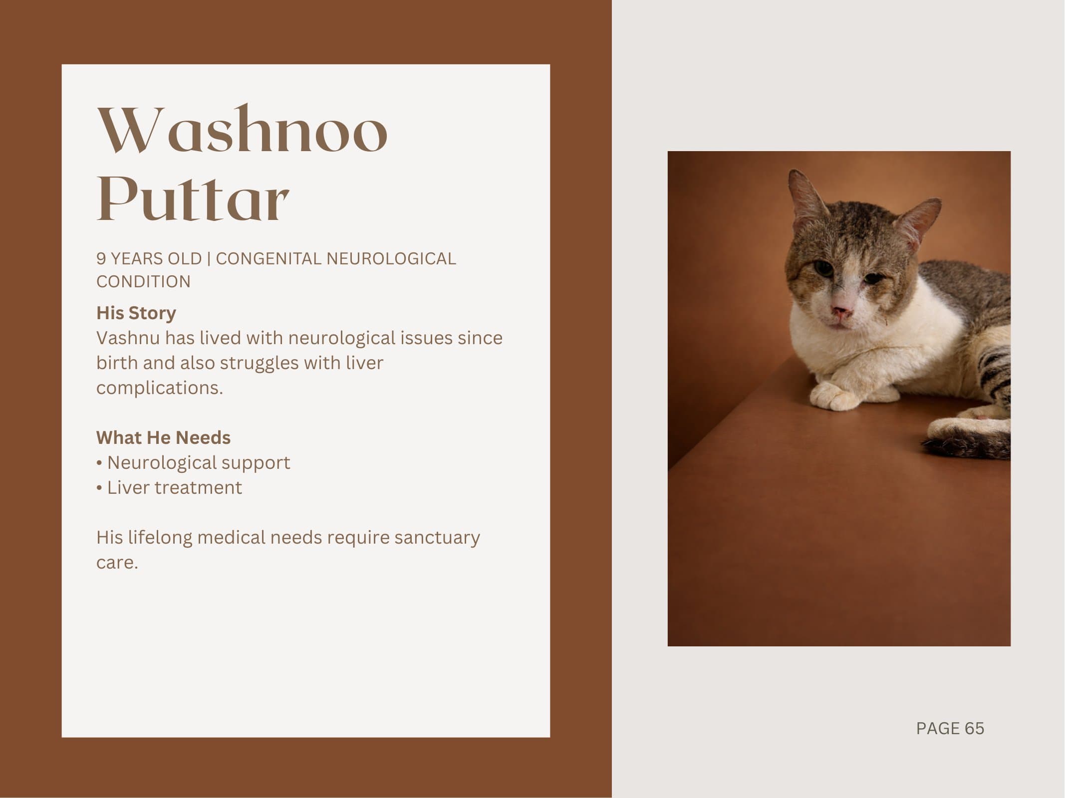 Washnoo Puttar — Congenital Neurological Condition