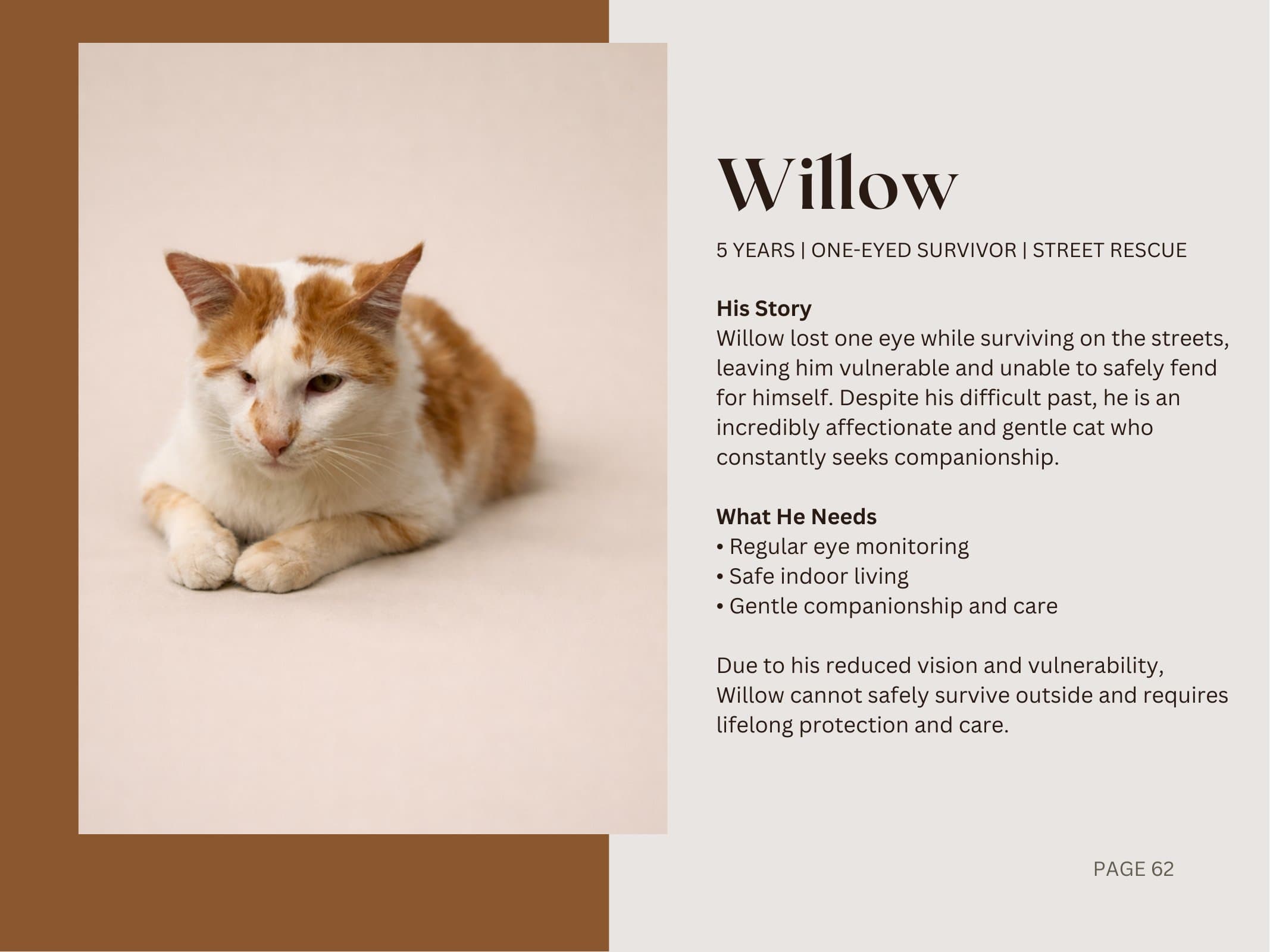 Willow — One-Eyed Survivor | Street Rescue