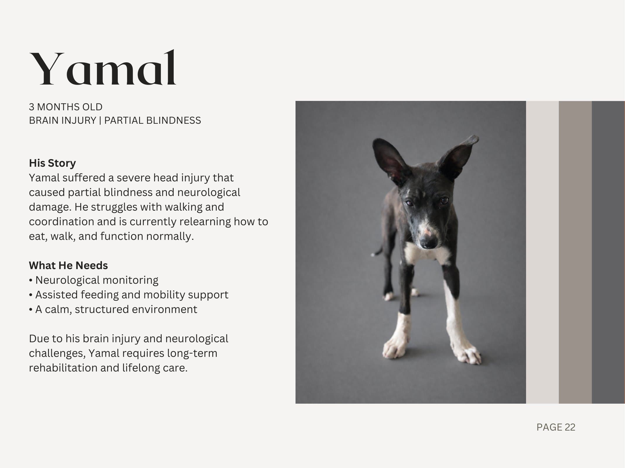 Yamal — Brain Injury | Partial Blindness